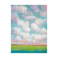 Trademark Fine Art Tim Otoole 'Clouds In Motion I' Canvas Art, 14x19 WAG11600-C1419GG